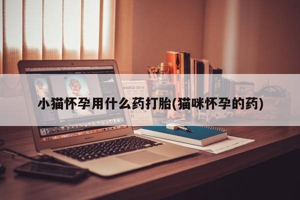 打胎药专门卖店米非司酮片哪个网站小猫怀孕用什么药打胎(猫咪怀孕的药)