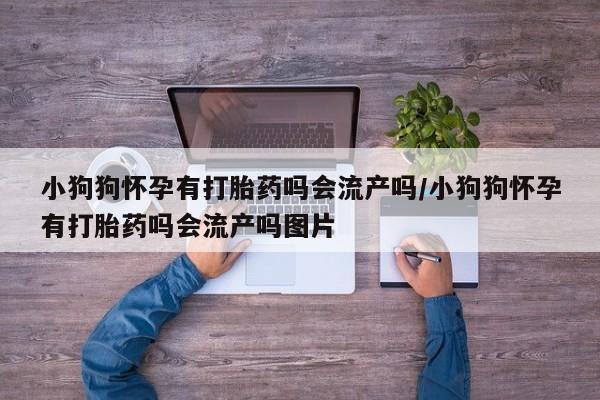 打胎药专门卖店米非司酮片哪个网站小狗狗怀孕有打胎药吗会流产吗/小狗狗怀孕有打胎药吗会流产吗图片