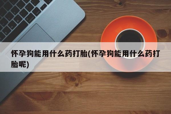 打胎药专门卖店米非司酮片哪个网站怀孕狗能用什么药打胎(怀孕狗能用什么药打胎呢)